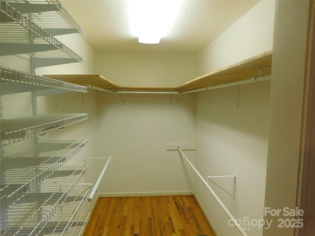 2066 Waterford Way, Morganton, NC 28655 - walk in closet featuring light wood-type flooring