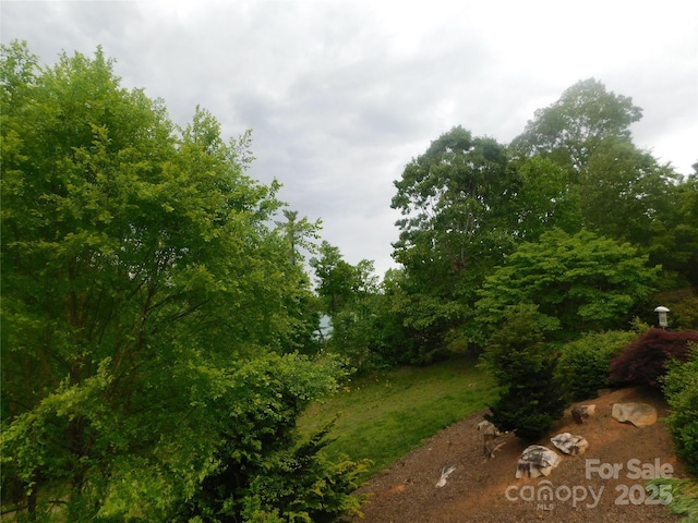 2066 Waterford Way, Morganton, NC 28655 - view of nature