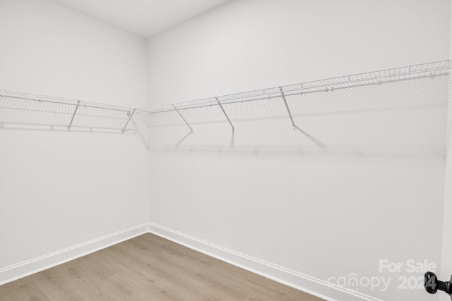 spacious closet with hardwood / wood-style flooring