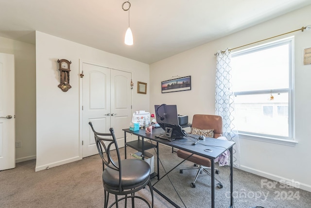 office featuring carpet floors and a wealth of natural light