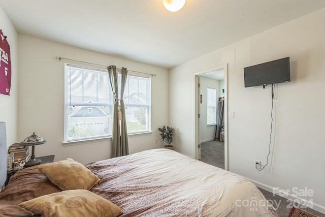 bedroom with carpet flooring