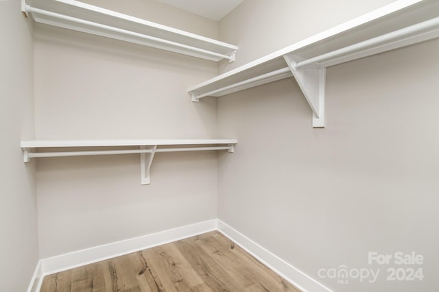 spacious closet featuring light wood-type flooring