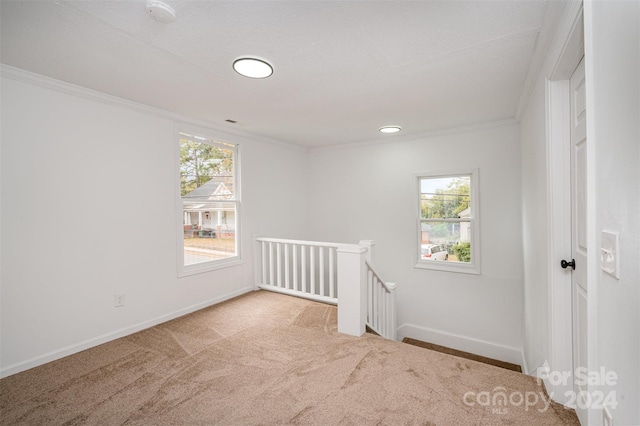 carpeted spare room with crown molding