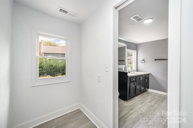 bathroom with hardwood / wood-style floors and vanity