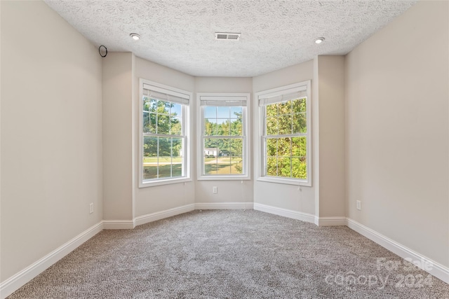 carpeted spare room featuring a textured ceiling