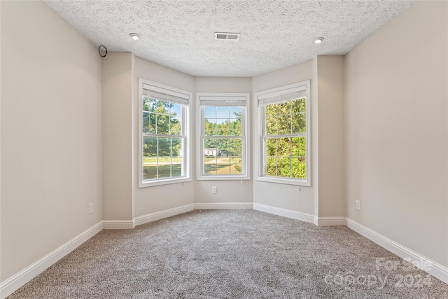 2720 Lentz Rd, China Grove, NC 28023 - carpeted empty room featuring a textured ceiling, visible vents, and baseboards