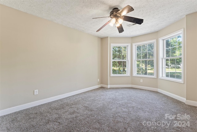 unfurnished room featuring carpet, a textured ceiling, and a healthy amount of sunlight