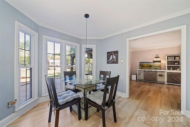 dining room with crown molding and light hardwood / wood-style floors