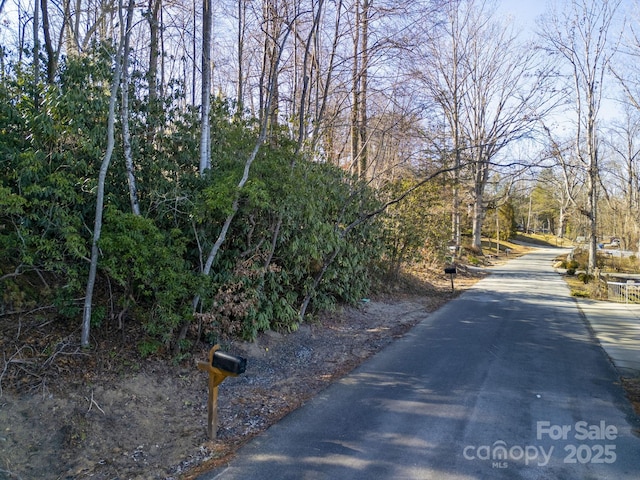 00 Upper Ridgewood Blvd, Hendersonville, NC 28739 - photo 1