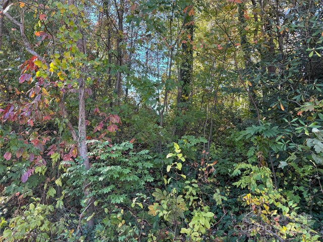 00 Upper Ridgewood Blvd, Hendersonville, NC 28739 - photo 3