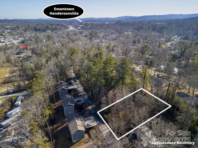 00 Upper Ridgewood Blvd, Hendersonville, NC 28739 - photo 5