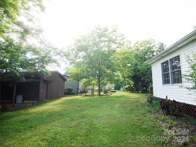 view of yard featuring a storage unit