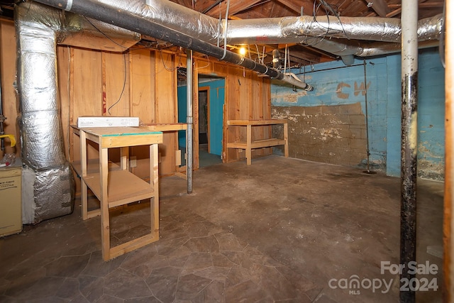 basement featuring wooden walls