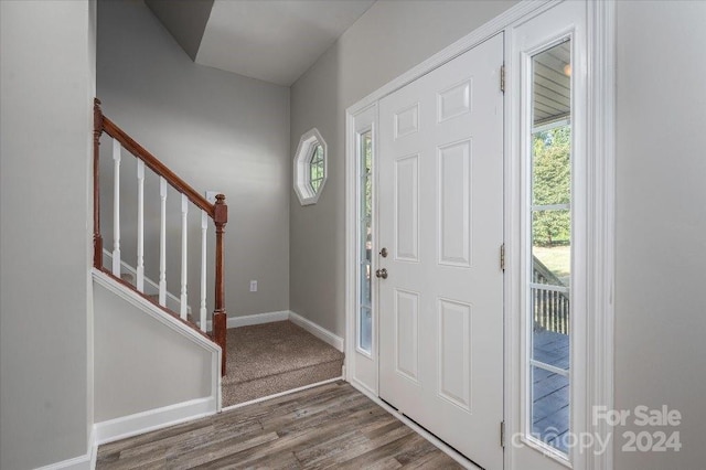 foyer with hardwood / wood-style flooring