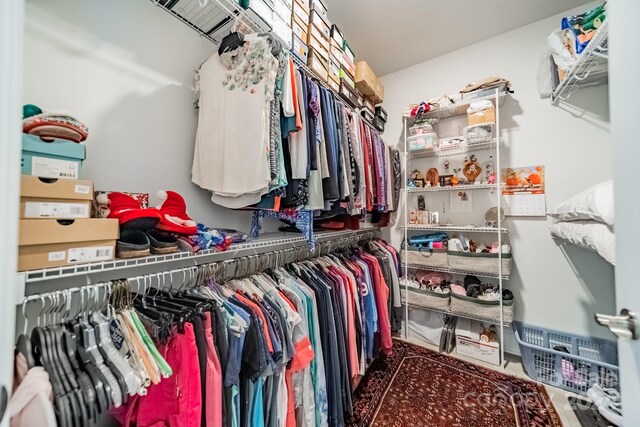 view of spacious closet