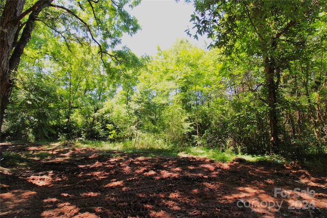 10/-ACRES Hosea Strong Rd, Chester SC, 29706 land for sale