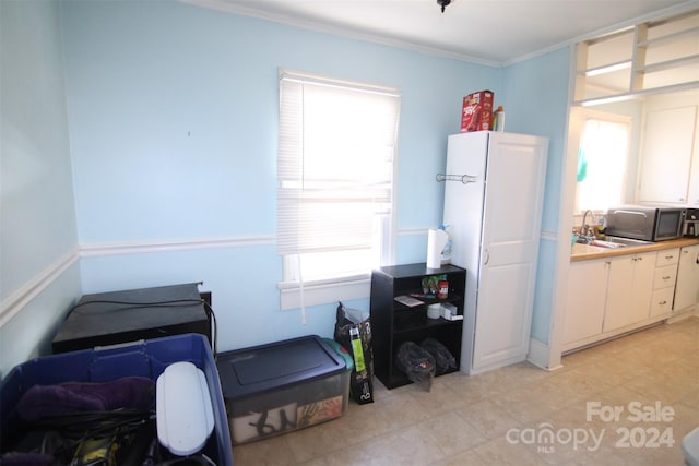 interior space with sink and ornamental molding