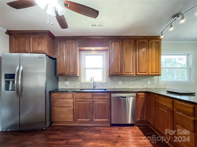 kitchen featuring appliances with stainless steel finishes, a wealth of natural light, sink, and dark hardwood / wood-style floors