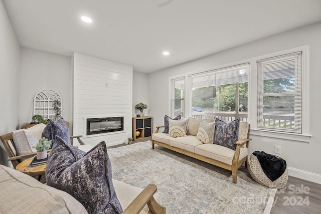 living room with wood-type flooring and a large fireplace