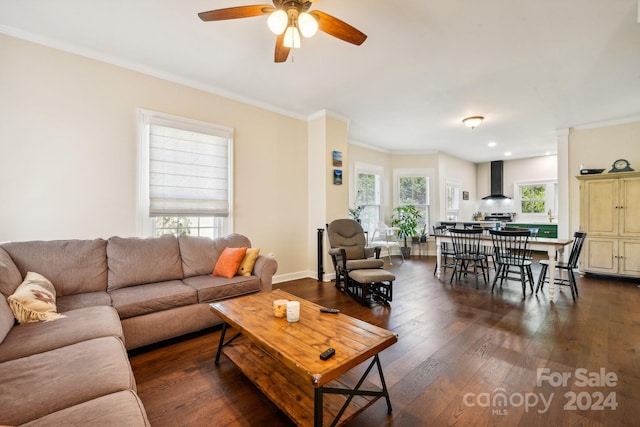 living room with ceiling fan, ornamental molding, plenty of natural light, and dark hardwood / wood-style floors