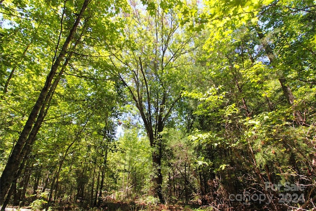 2/-ACRES Hosea Strong Rd, Chester SC, 29706 land for sale