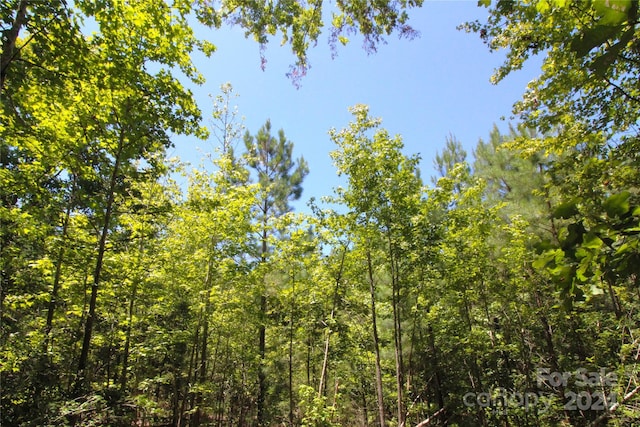 Listing photo 2 for 2/-ACRES Hosea Strong Rd, Chester SC 29706