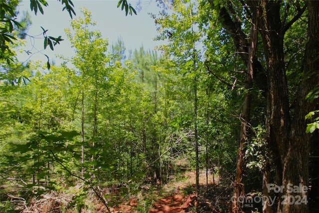 Listing photo 3 for 2/-ACRES Hosea Strong Rd, Chester SC 29706