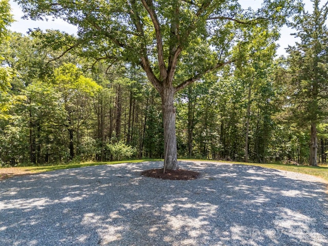 107 Grandview Dr, Rutherfordton, NC 28139 - photo 27