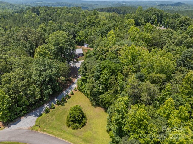 107 Grandview Dr, Rutherfordton, NC 28139 - photo 31