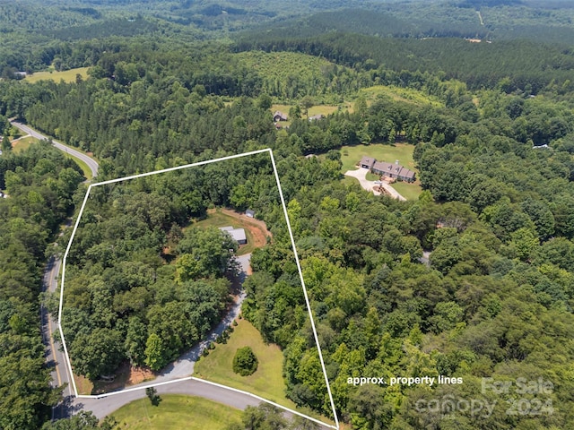 107 Grandview Dr, Rutherfordton, NC 28139 - photo 34