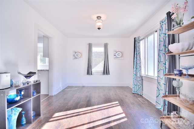 interior space featuring dark hardwood / wood-style floors