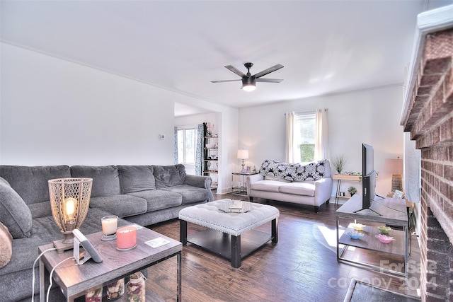 living room with ceiling fan, crown molding, and dark hardwood / wood-style floors