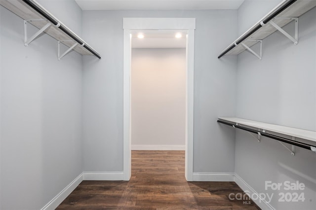 spacious closet featuring dark hardwood / wood-style flooring