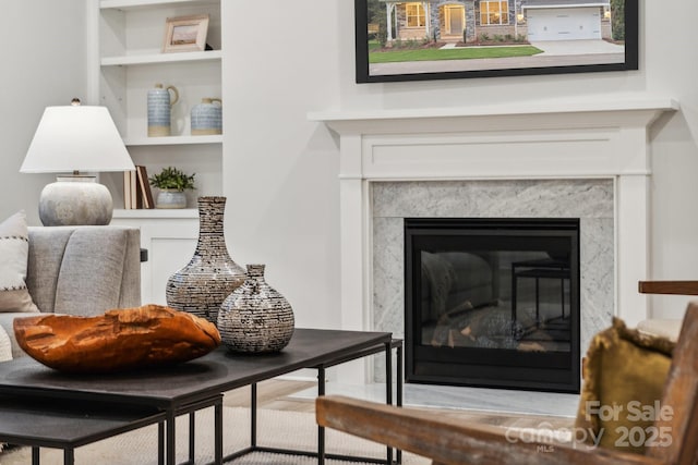 details featuring built in shelves and a fireplace