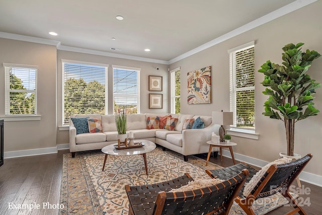 living room featuring ornamental molding, dark hardwood / wood-style flooring, and a healthy amount of sunlight