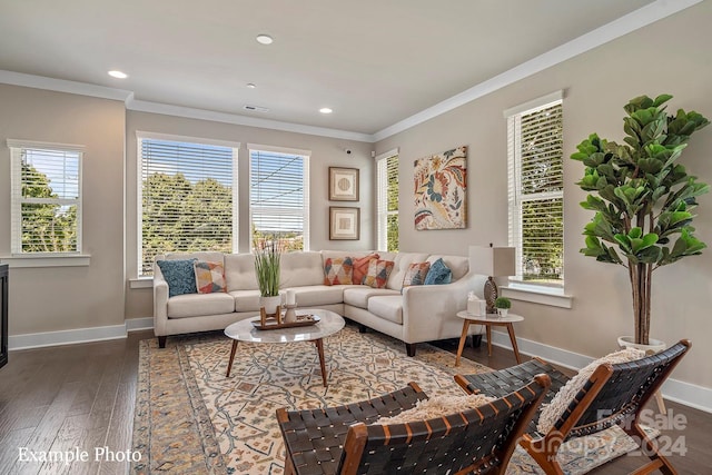 living room with wood-type flooring, baseboards, ornamental molding, and recessed lighting
