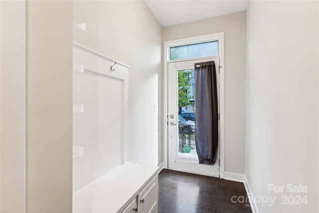 mudroom with dark wood-type flooring