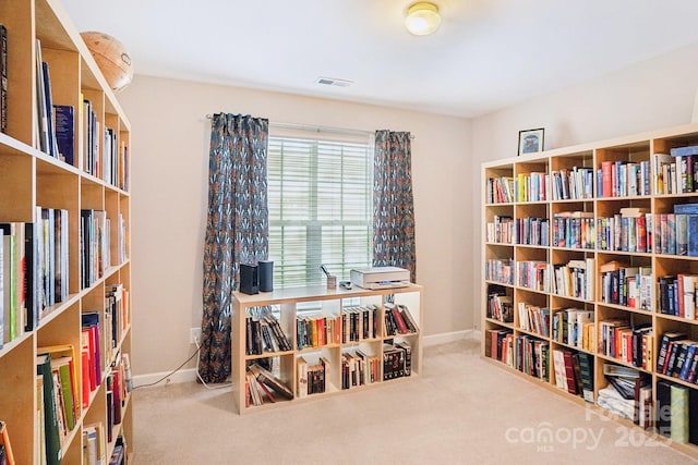 misc room featuring carpet flooring