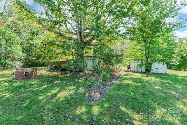 view of yard featuring a shed