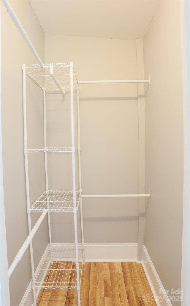 walk in closet with hardwood / wood-style floors