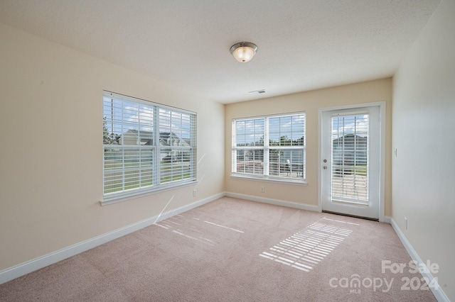 spare room with light carpet and a textured ceiling