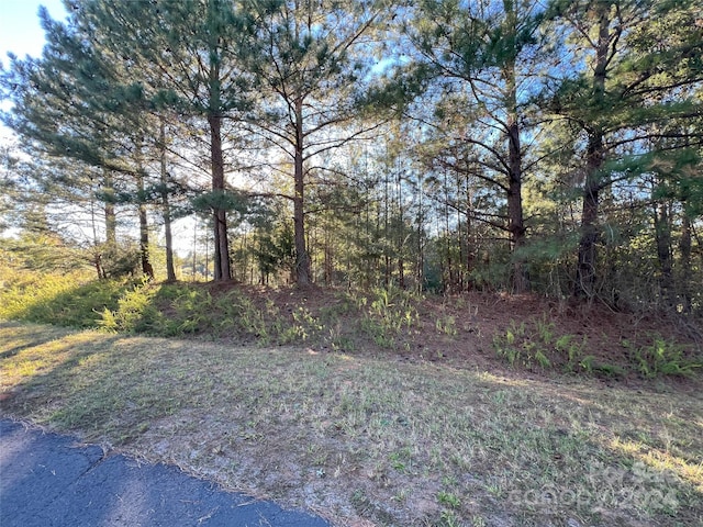 111 River View Dr, Mooresboro, NC 28114 - photo 4