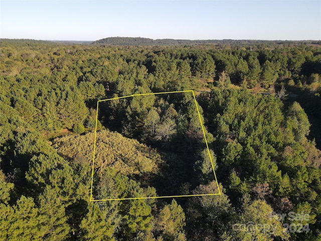 111 River View Dr, Mooresboro, NC 28114 - photo 11