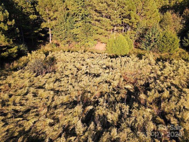 111 River View Dr, Mooresboro, NC 28114 - photo 35