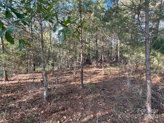 111 River View Dr, Mooresboro, NC 28114 - photo 37