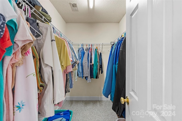 walk in closet with carpet flooring