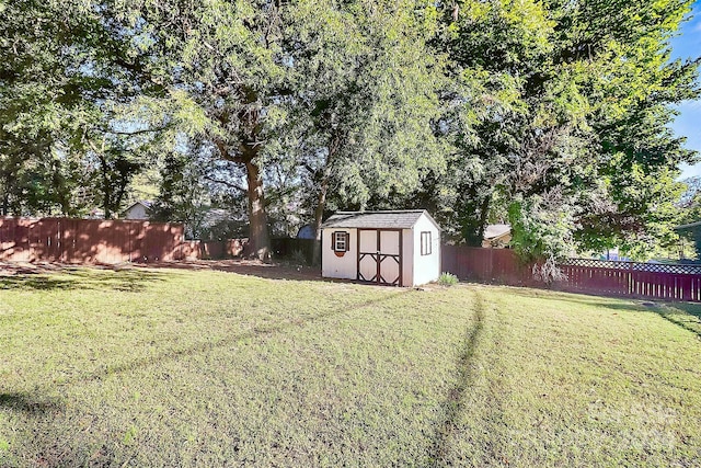 view of yard featuring a shed