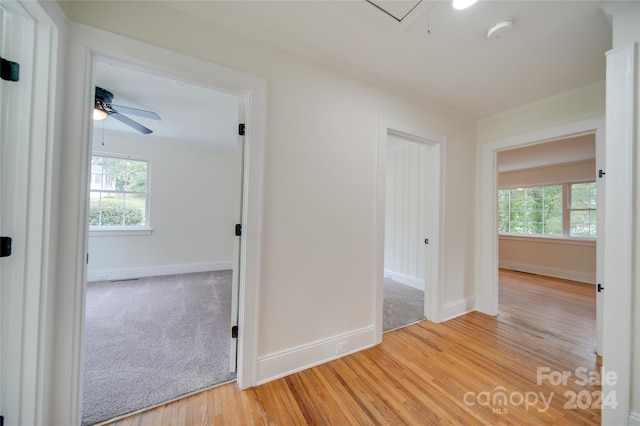 hall with light wood-type flooring and a wealth of natural light