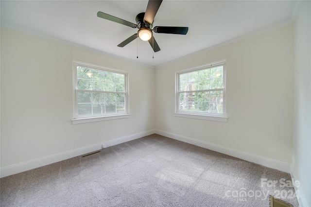 unfurnished room with crown molding, ceiling fan, and carpet