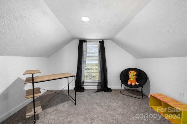 carpeted office space featuring a textured ceiling and vaulted ceiling